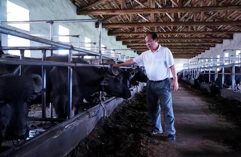 广西大叔一年赚100万,广西大叔一年赚多少