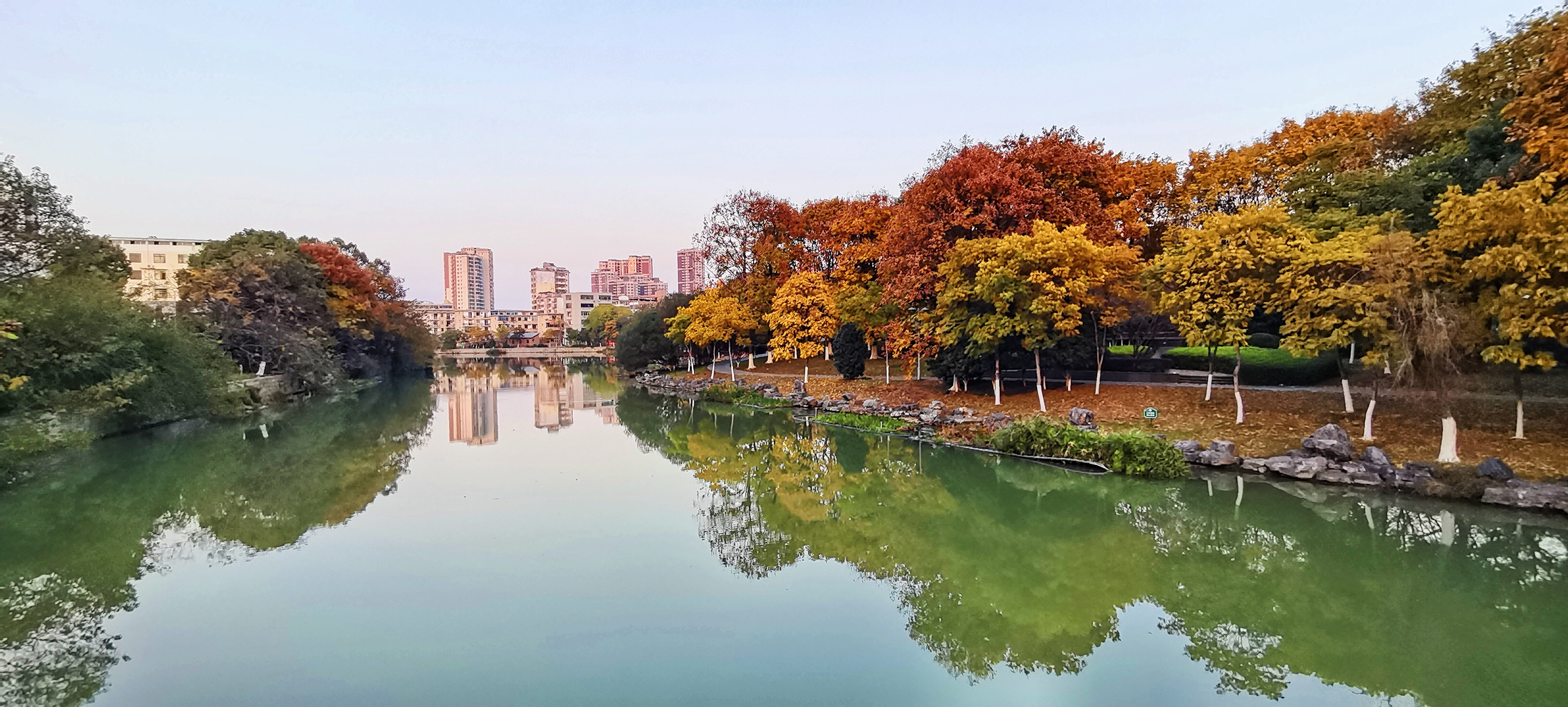 我的“杨康”日记3——姜葱茶你会做吗？