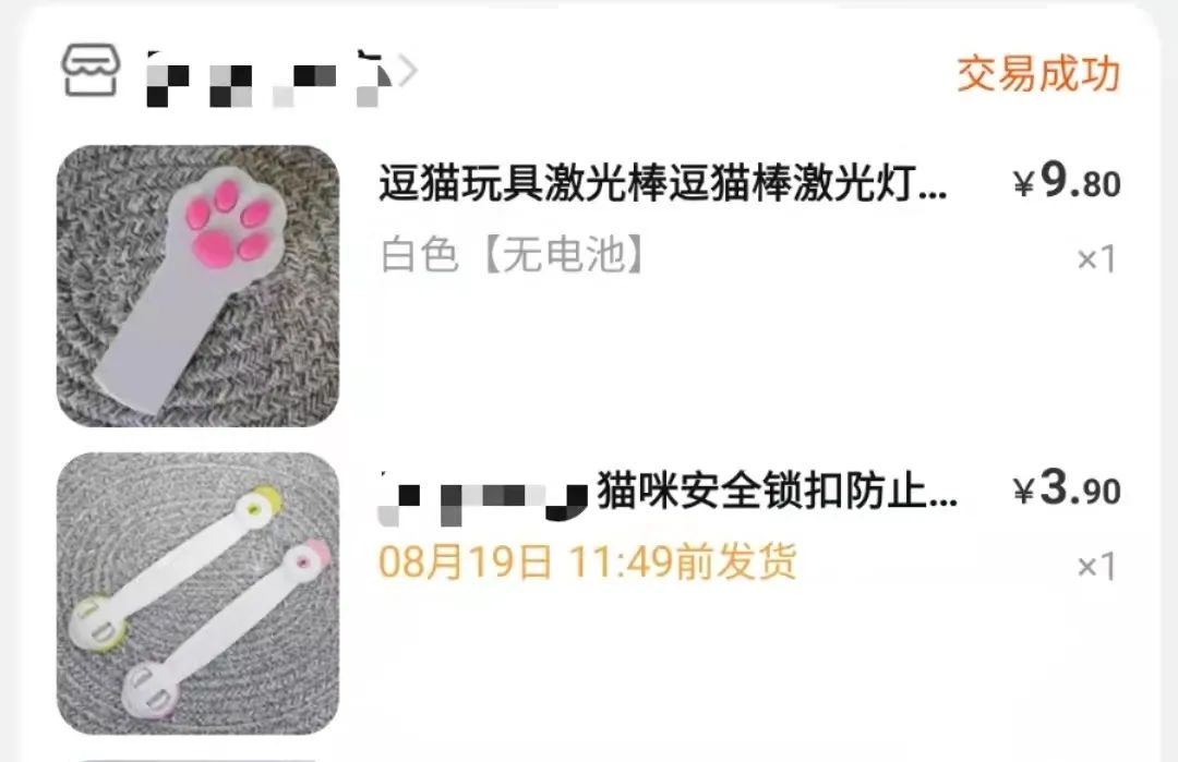 主人被隔离宠物怎么办,主人确诊了猫狗怎么办