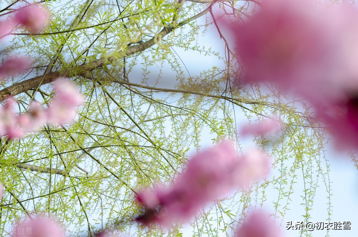 写立春的宋词,立春诗词十首宋词