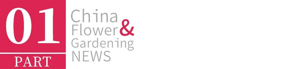 鍥藉叞绉嶈嫍,灞变笢鍥藉叞绉嶈嫍