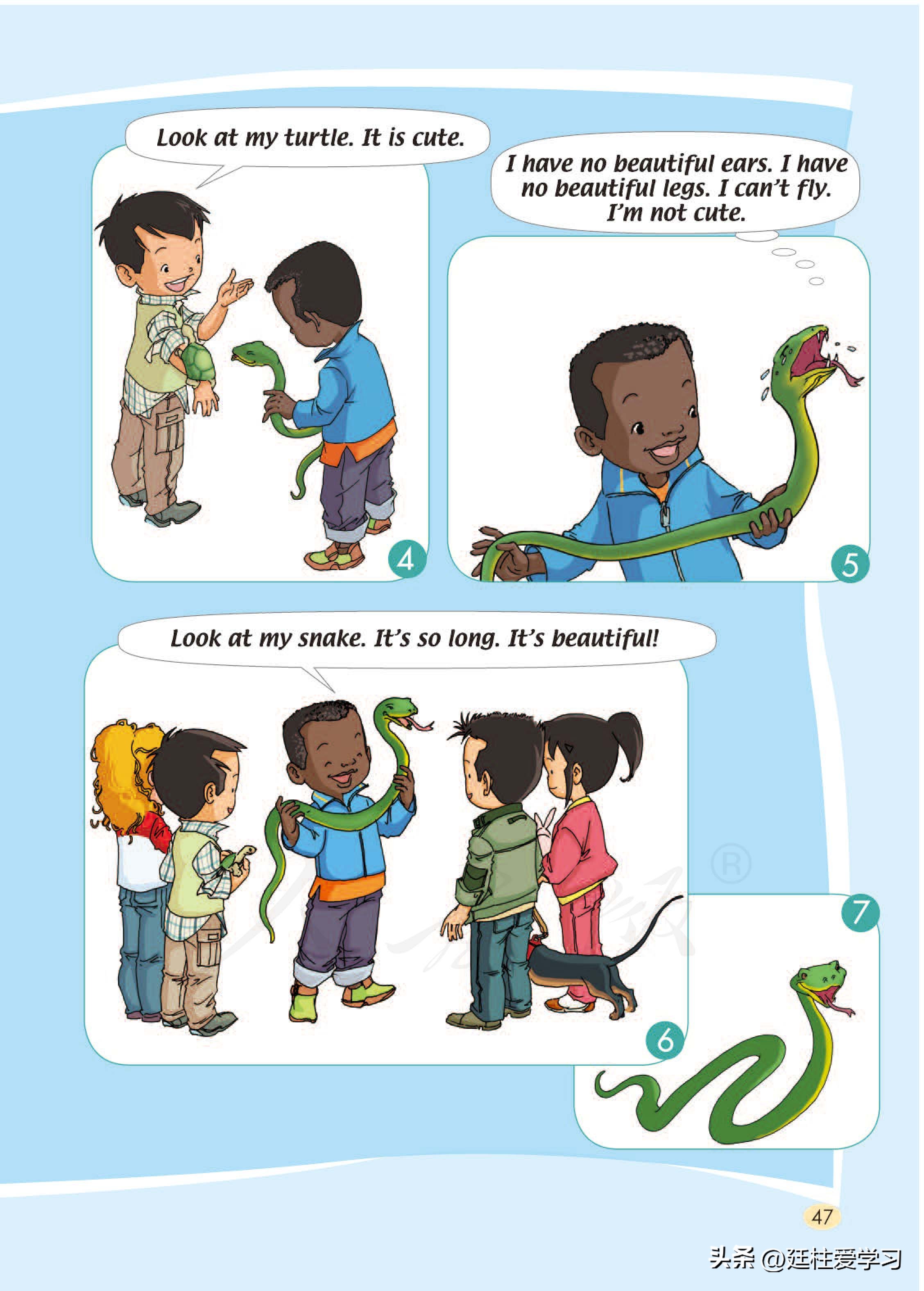 小学英语外研版三年级上册,小学英语精通版三年级上册