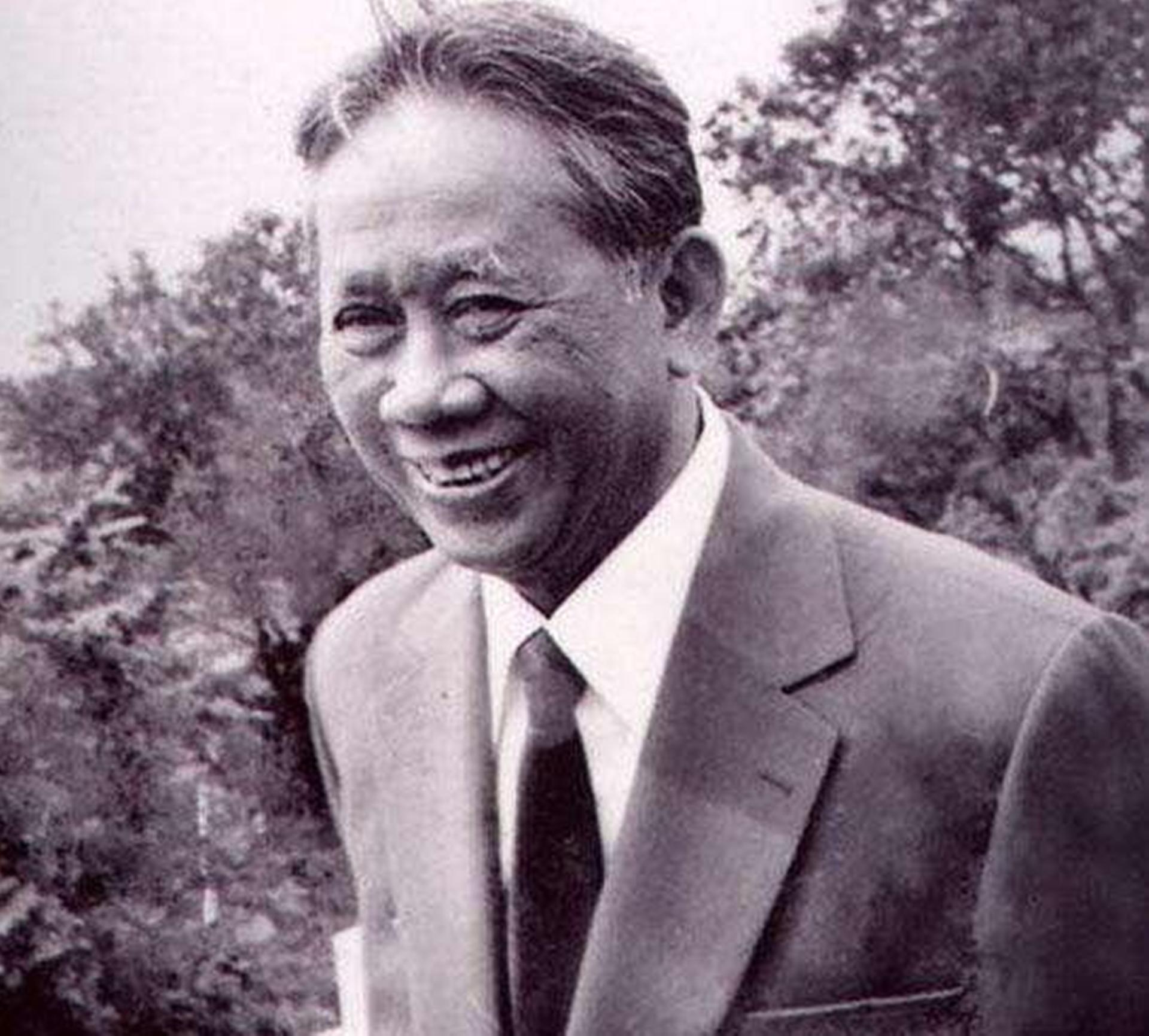 越南武元甲对解放军的评价,越南的武元甲怎样评价越战的