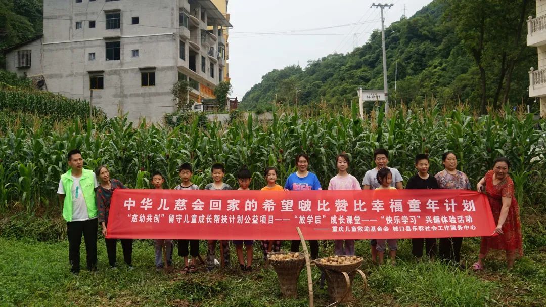 王一博肖战一起助力公益活动,王一博肖战感谢粉丝公益