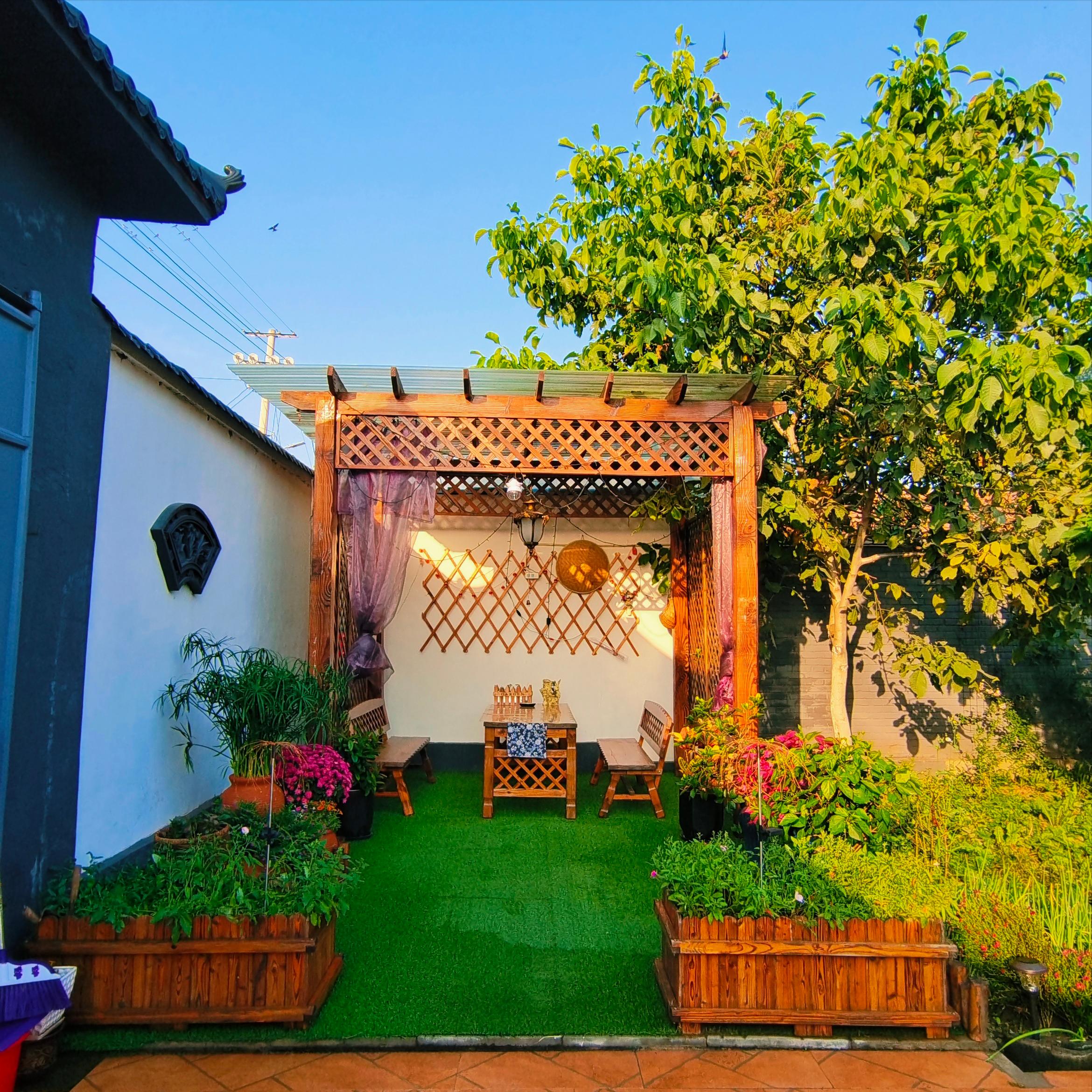 天津农村院子出售的视频,天津西青农村院子