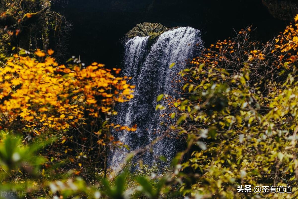 荥经茶马古道徒步线路,雅安荥经茶马古道穿越