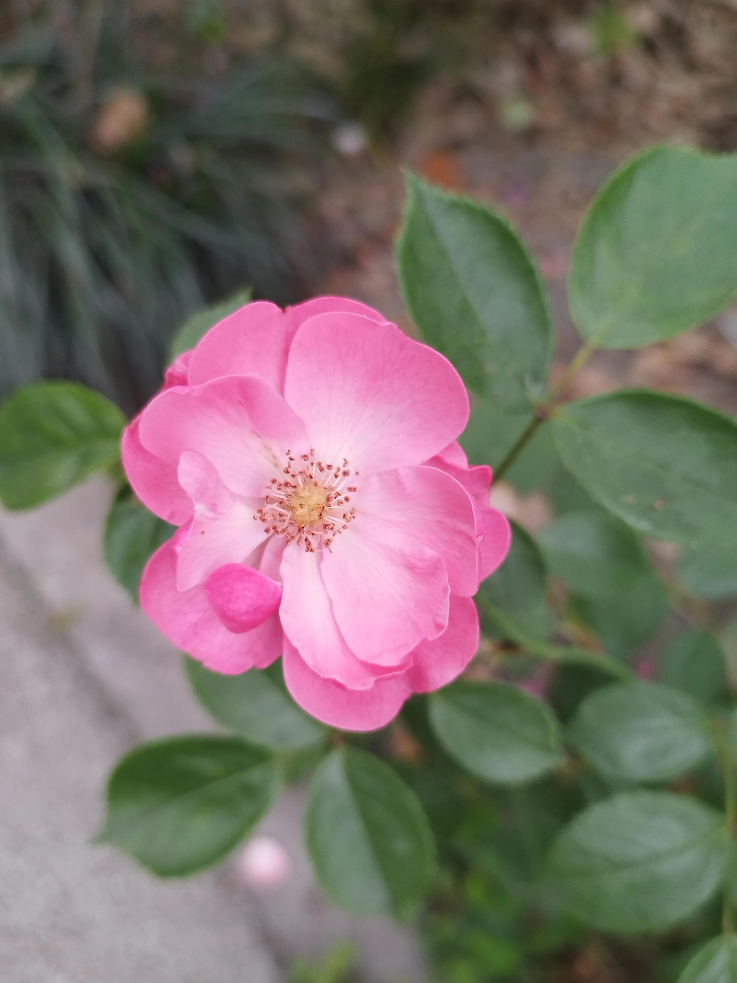 照顾病人真的没有耐心,照顾病人真的不容易