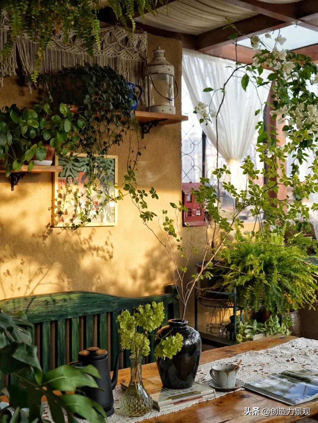 一花一草一世界原创花草,一花一草一世界赏花享受最好时光