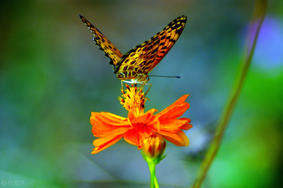父母不在了兄弟姐妹有必要来往吗,父母不在了兄弟姐妹做好这3件事