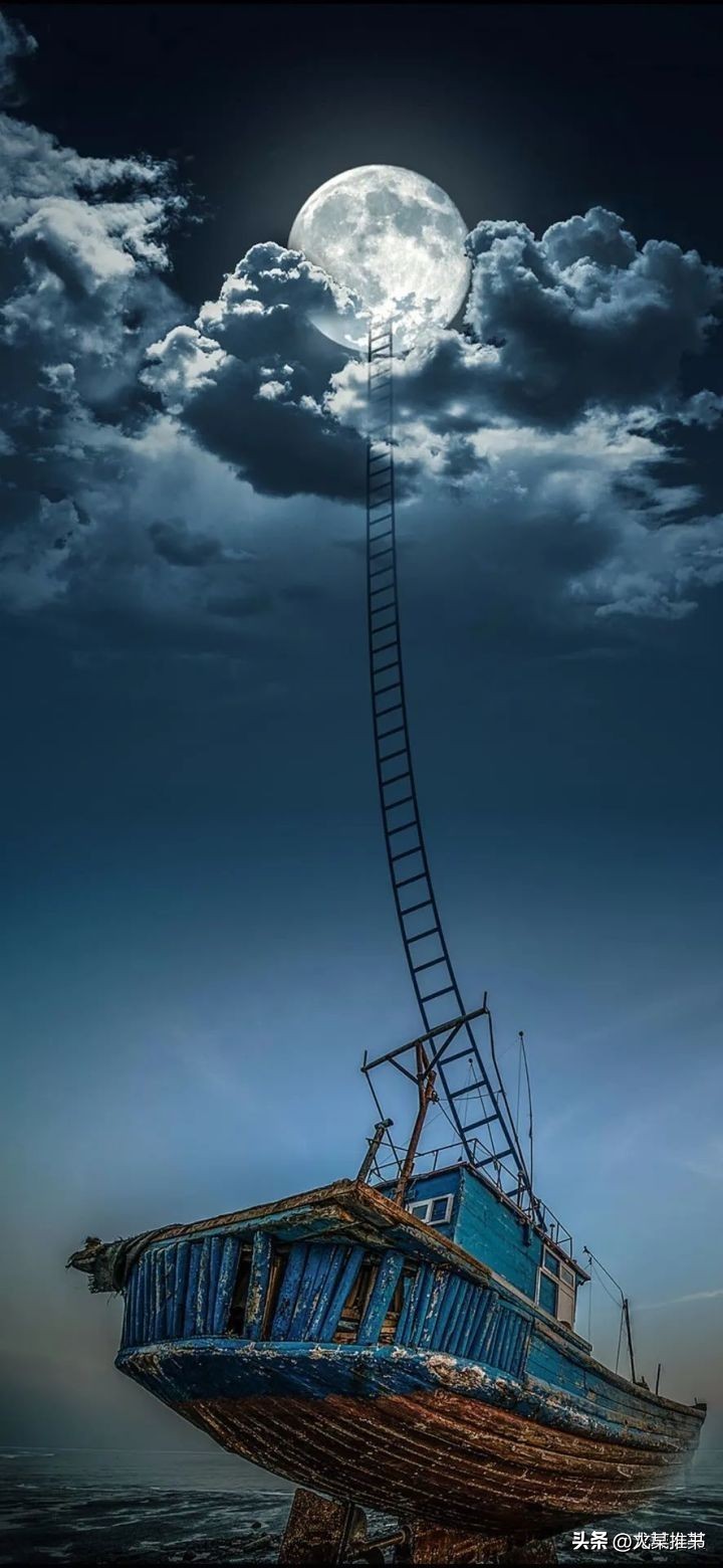 足球网文推荐排行榜,最新足球竞技文