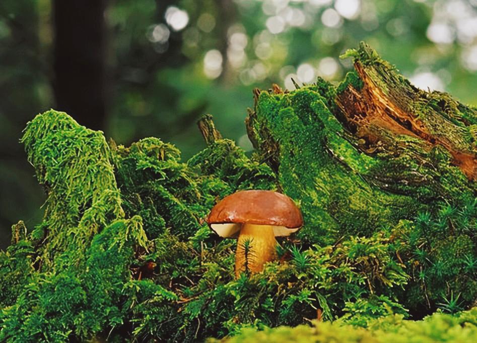 不要让4种人来你家串门,三种人不能随便去别人家串门