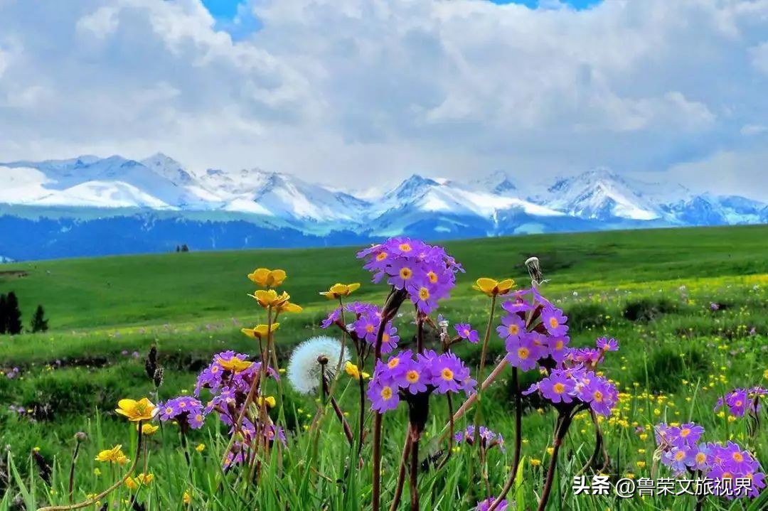 大美新疆的风景有哪些,大美新疆北疆美