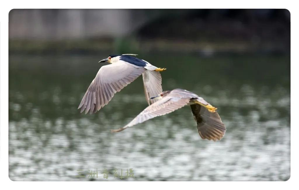 上海国际汽车城安亭,上海安亭国际汽车城