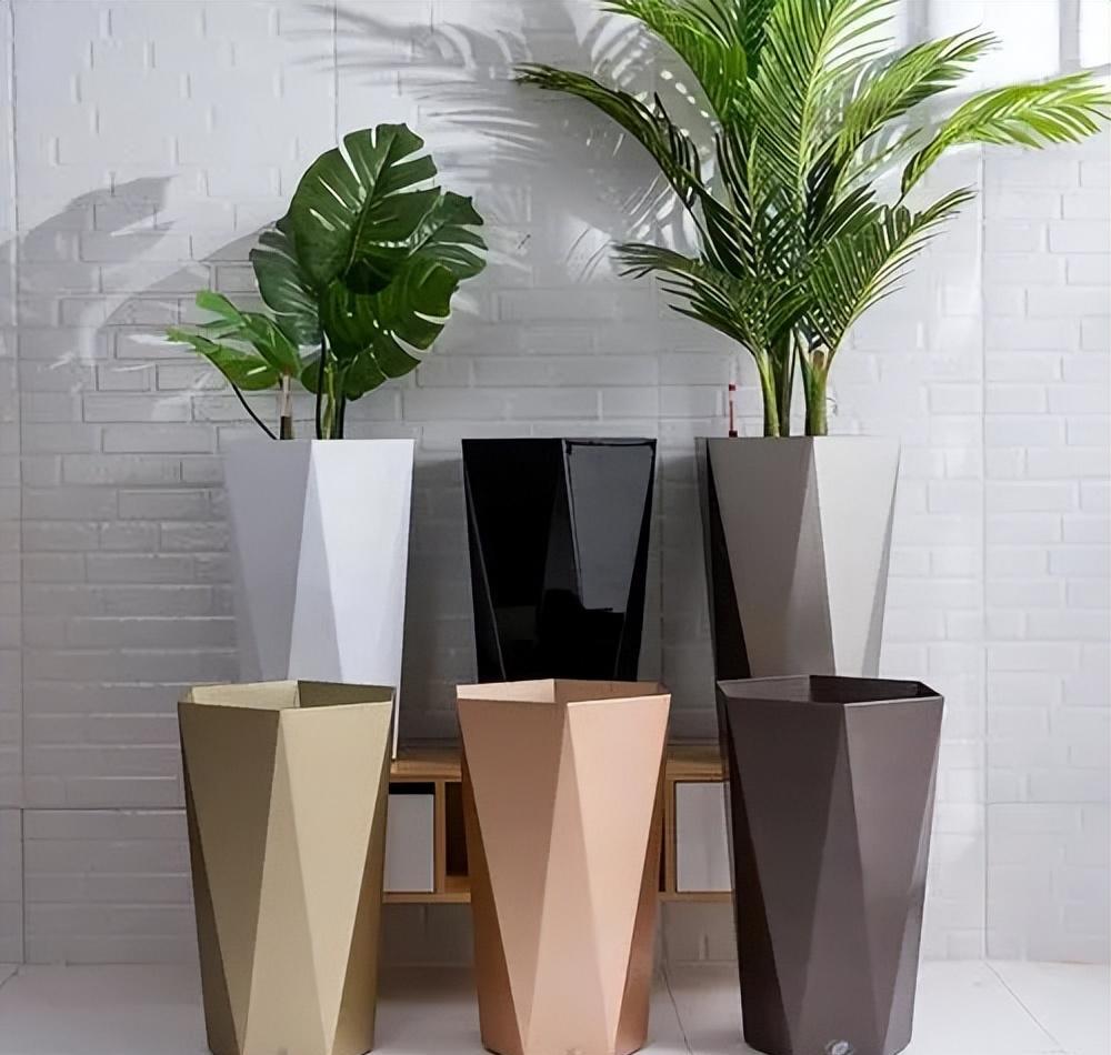 4种花很漂亮好养易活,4种花有阳光就爆盆