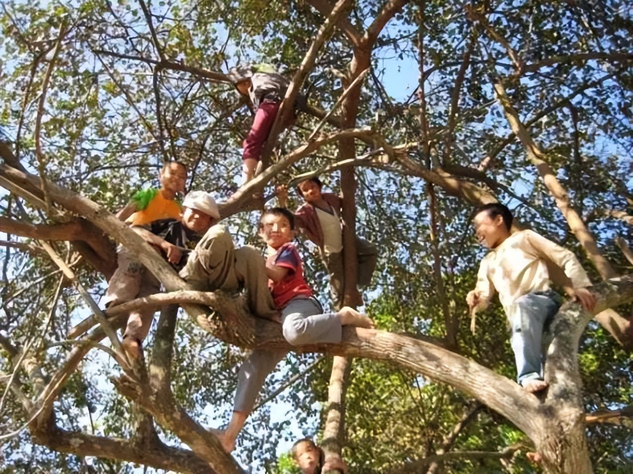 李盈学霸现在在什么学校,云南女孩李盈高考复读693分