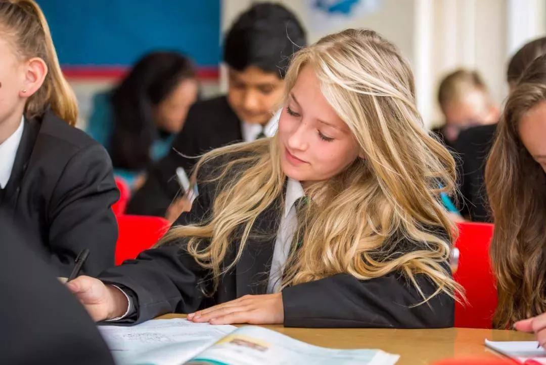 写梦人～开放式中学里的不老泉！