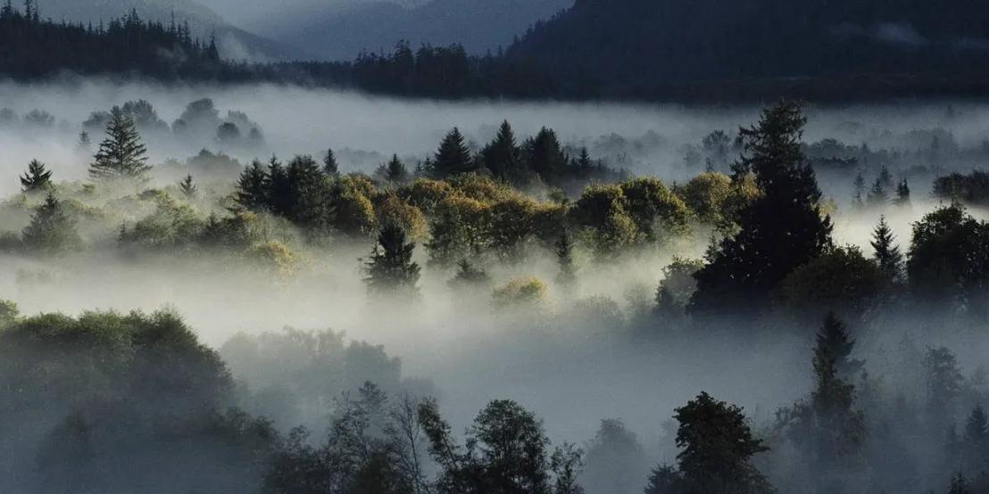 弘扬传统文化的说法,中国传统文化传承怎么称呼
