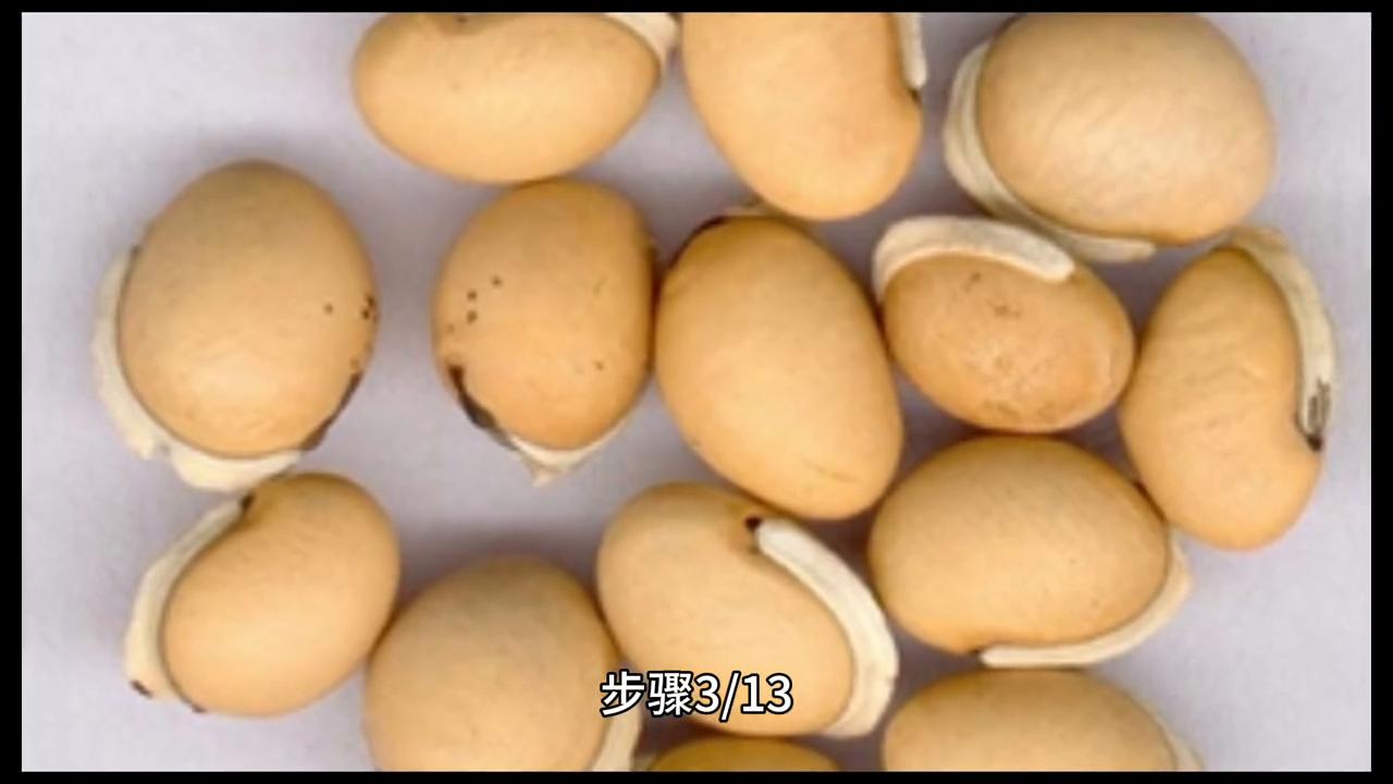 健脾消积八珍糕的配方和功效,自制健脾祛湿八珍糕