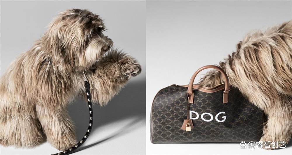 celine装饰品,celine宠物系列