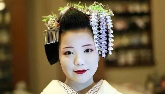 日本的幕府政治制度模式,日本幕府统治危机原因