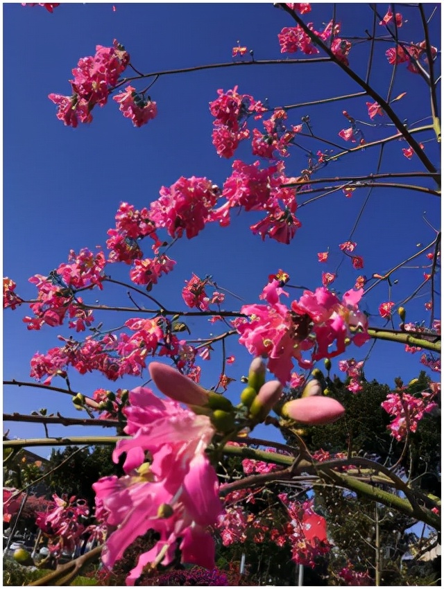 大美花都,广州花都竹洞村美景
