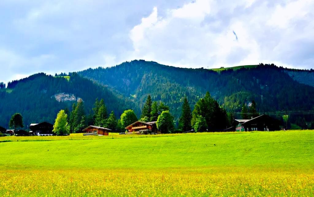 人生难得静心,人生难得清净心