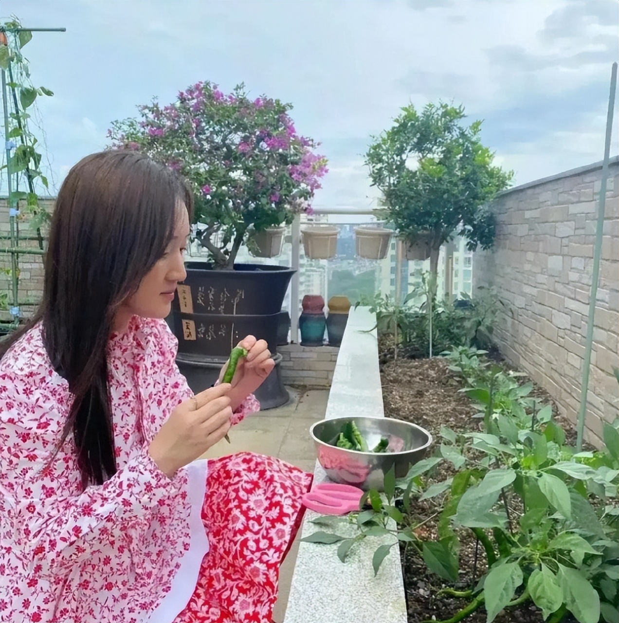 目前娱乐圈最让人震惊的瓜是什么,娱乐圈目前为止最震惊的瓜