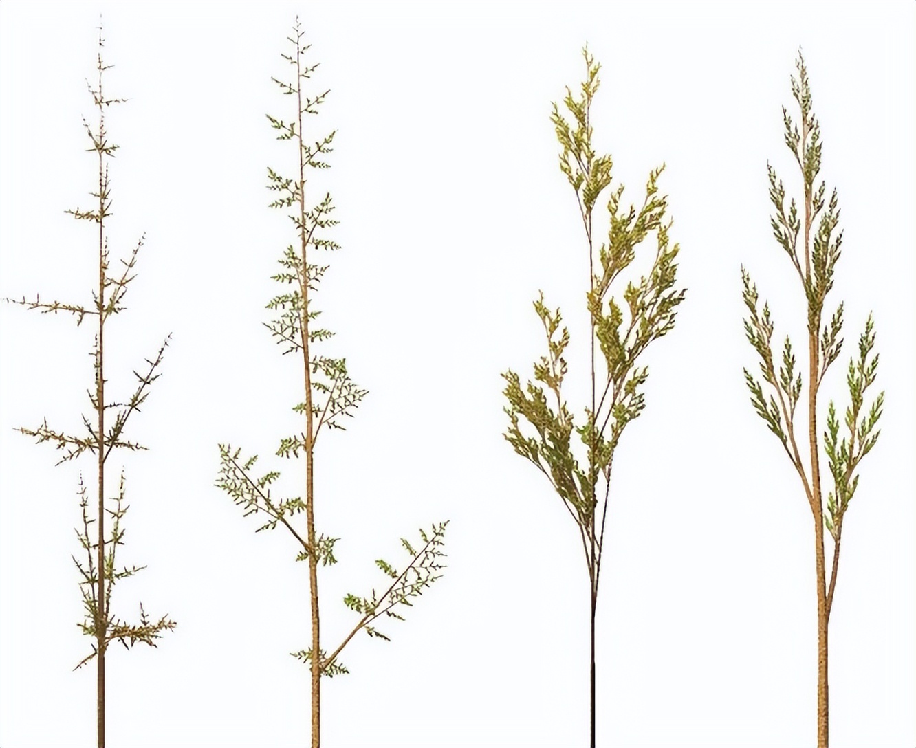 鍒嗗舰鍑犱綍鍘熺悊璁茶В,鍒嗗舰涓庡嚑浣曠殑鍘熺悊