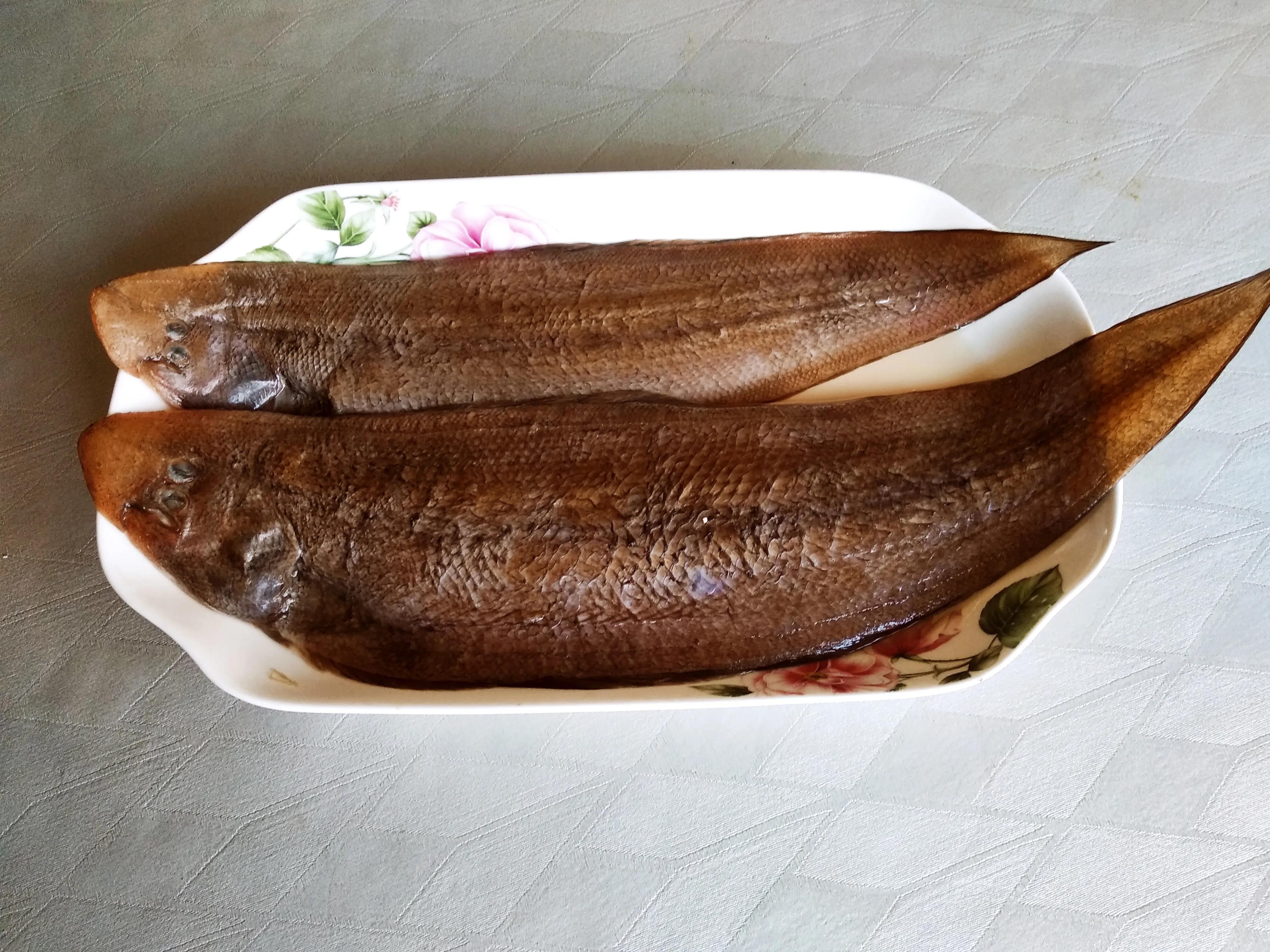 15种常见的海鱼,100种常见食用海鱼图谱