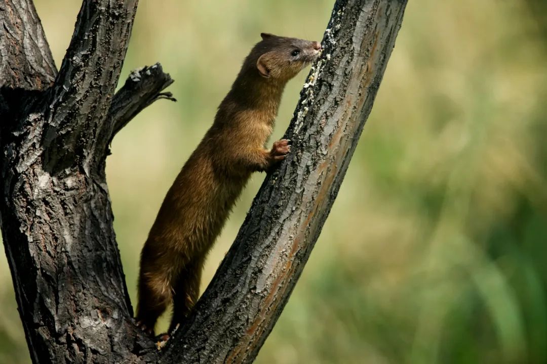 西安湿地风景区,西安东郊最美湿地公园