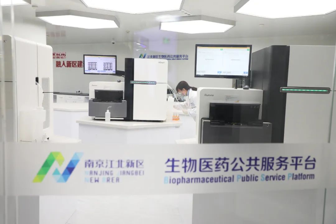 鏈変竴绉嶇敓娲诲彨姹熷寳,涓轰粈涔堝枩娆㈠彨姹熷寳