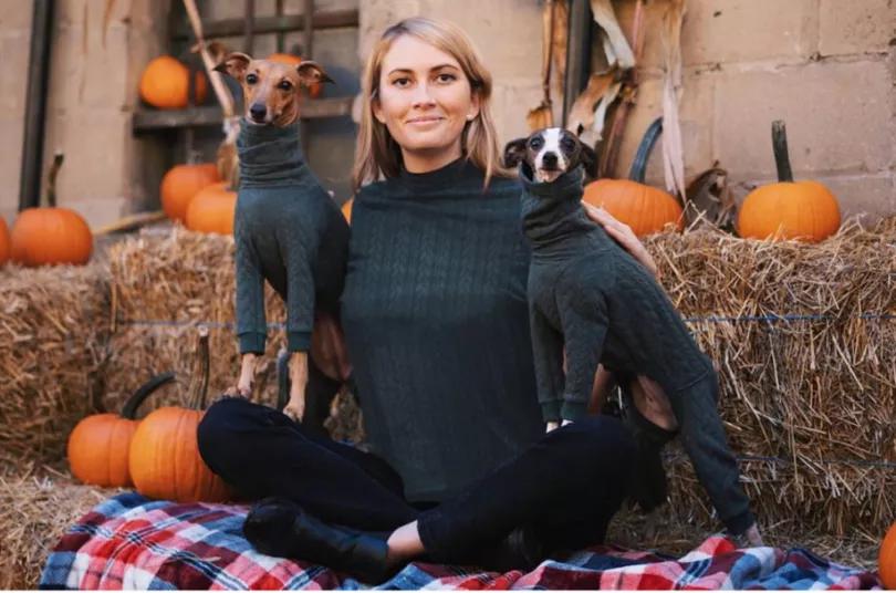 一只被抛弃的小狗逆袭变身超狗,一只被逆袭的中国狗狗