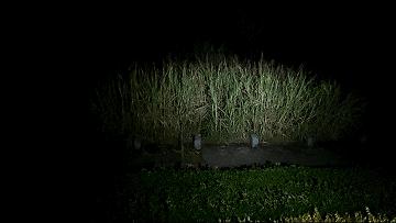 奈特科尔p35i手电筒夜间实测,奈特科尔p35i有升级版没