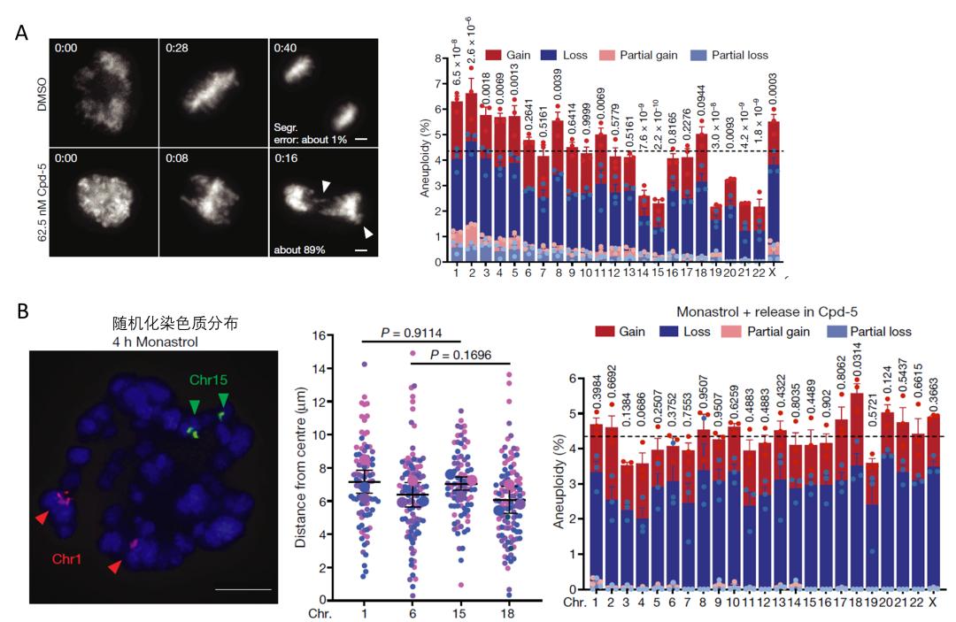nature最新科研成果,nature最新研究结果