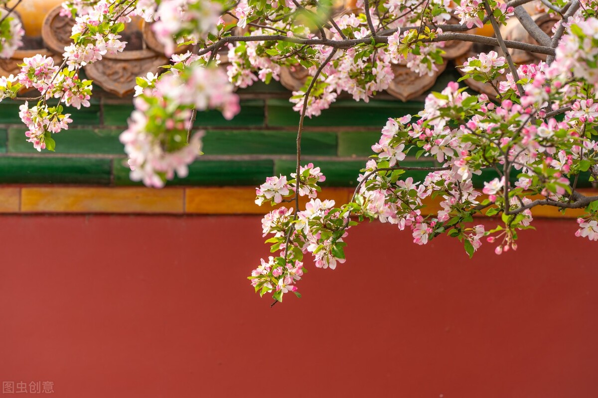 唐朝睿真皇后沈氏失踪之谜,唐朝一位失踪的皇后沈珍珠