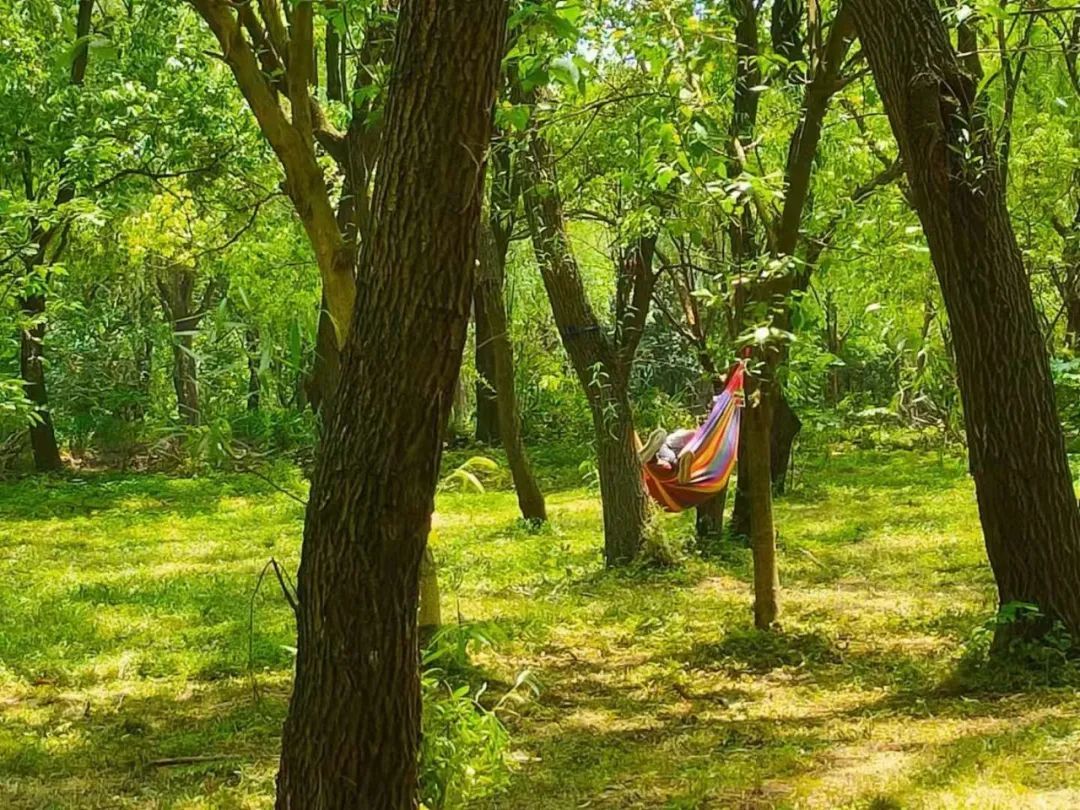 苏州自由行旅游团,苏州两日游旅游团从苏州出发