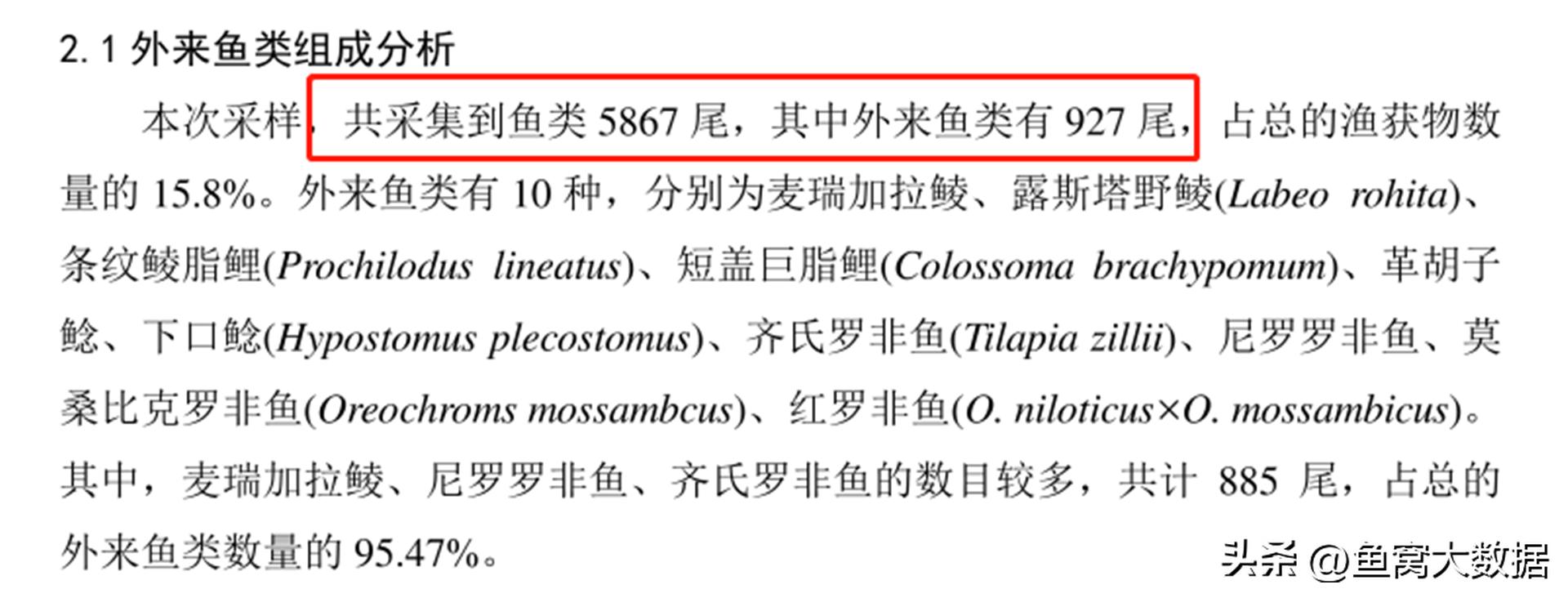 革胡子鲶销声匿迹,革胡子鲶性成熟几年