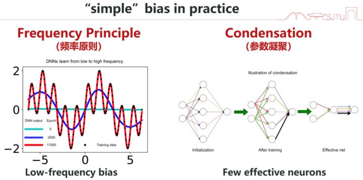 #AI分享#神经网络的简单偏好