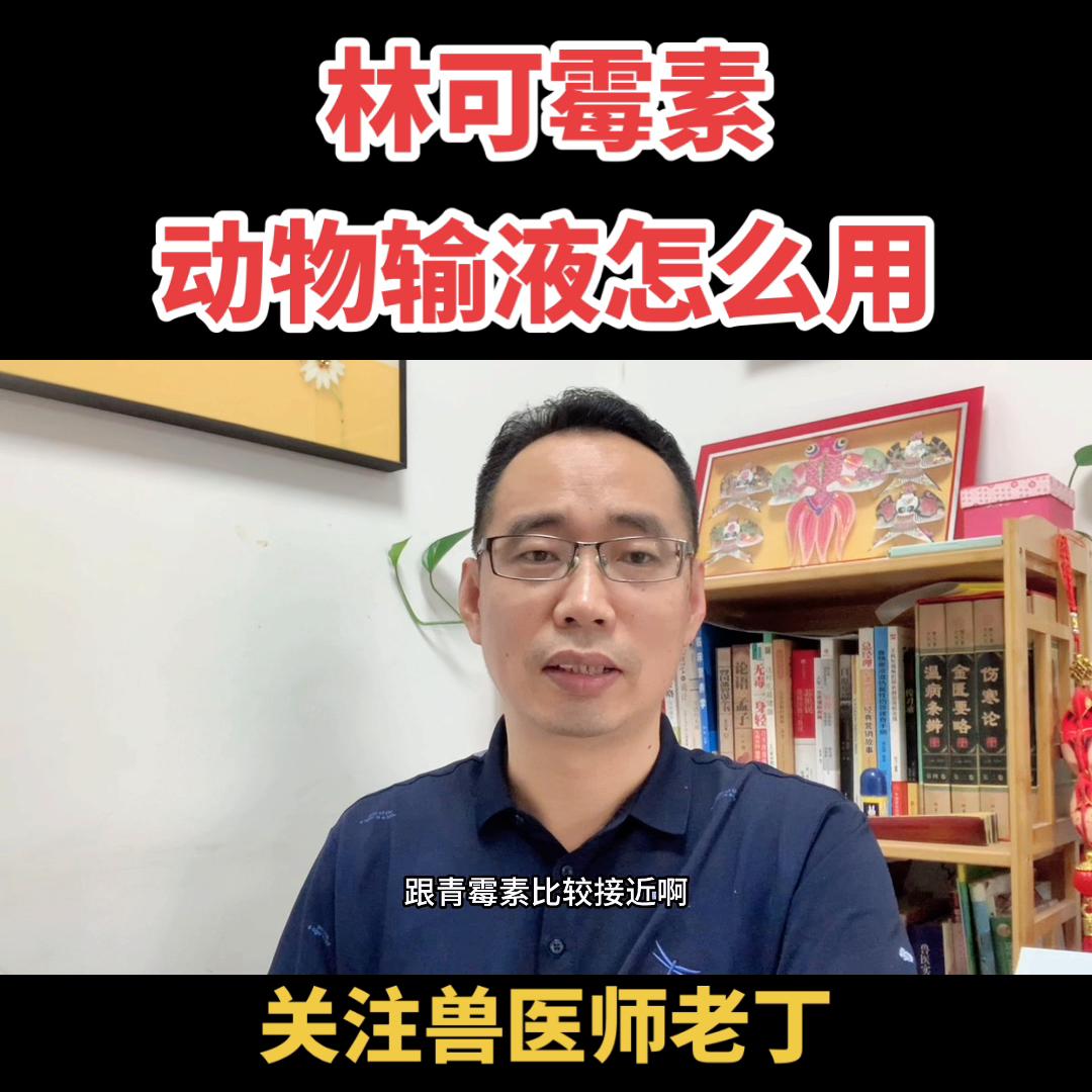 林可霉素能加到生理盐水里输液吗,产妇输液林可霉素后多久才能喂奶