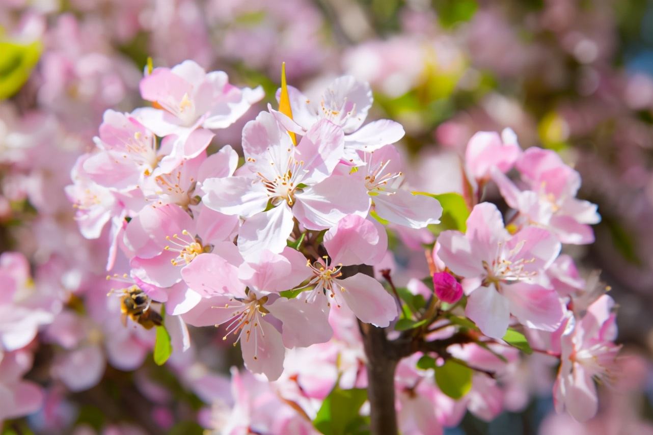 现代最美卜算子情诗,唐诗宋词经典50首卜算子
