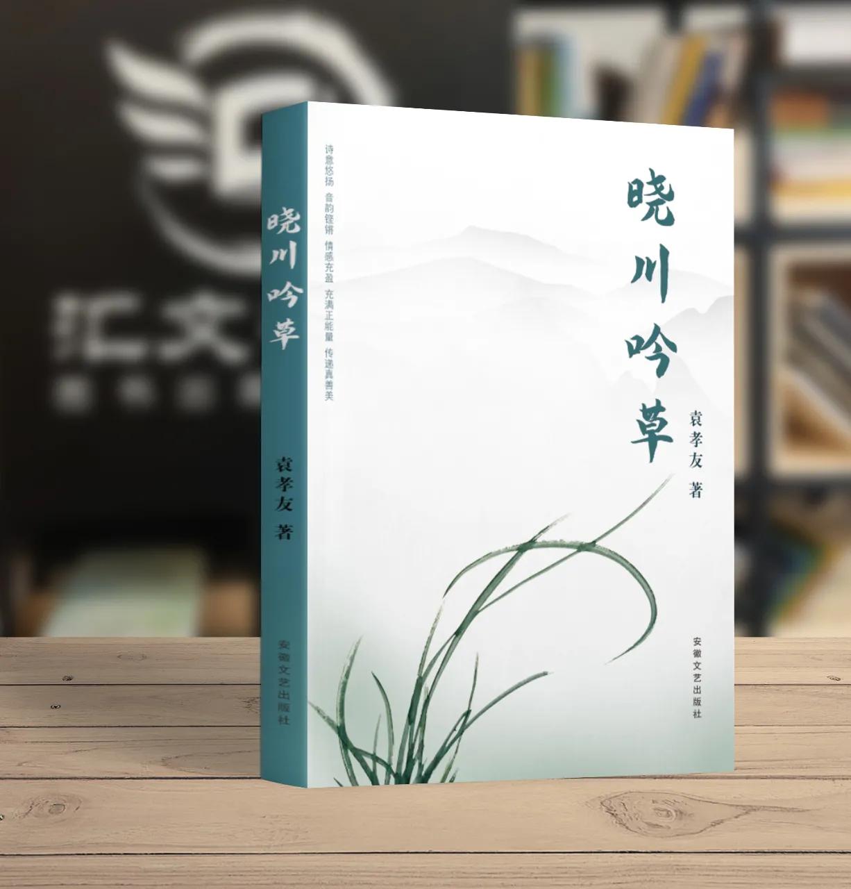 个人如何才能出书,个人出书怎么样