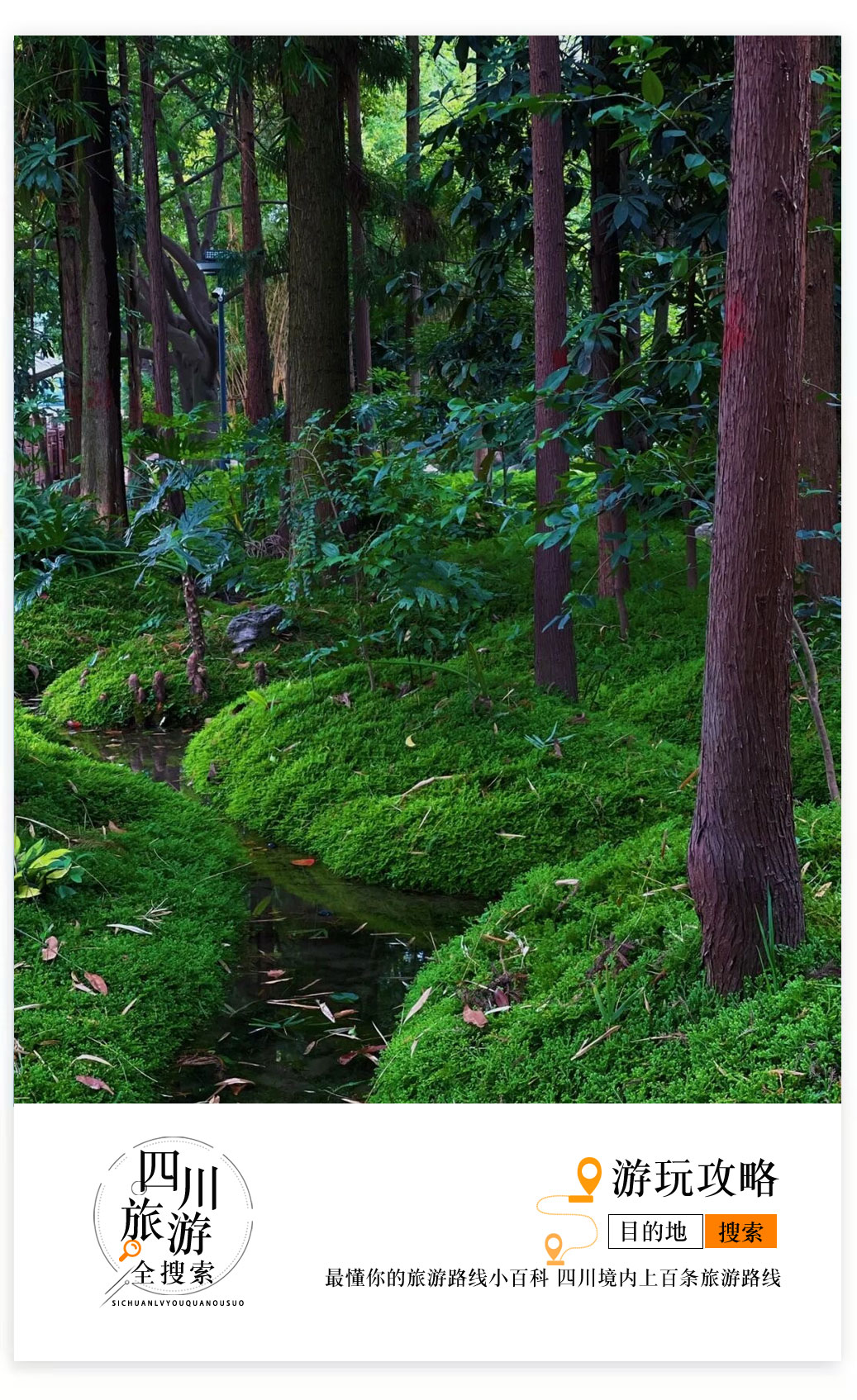 成都上新被施了魔法的“无蚊公园”!逛朋克风夜市、奇异洞穴书店