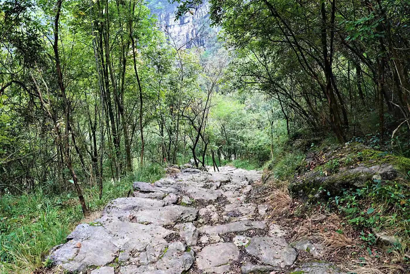 五峰万里茶道入中国世界文化遗产,探访万里茶道源头