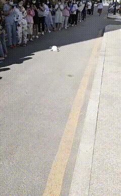 神回复头发白了,神回复脱发