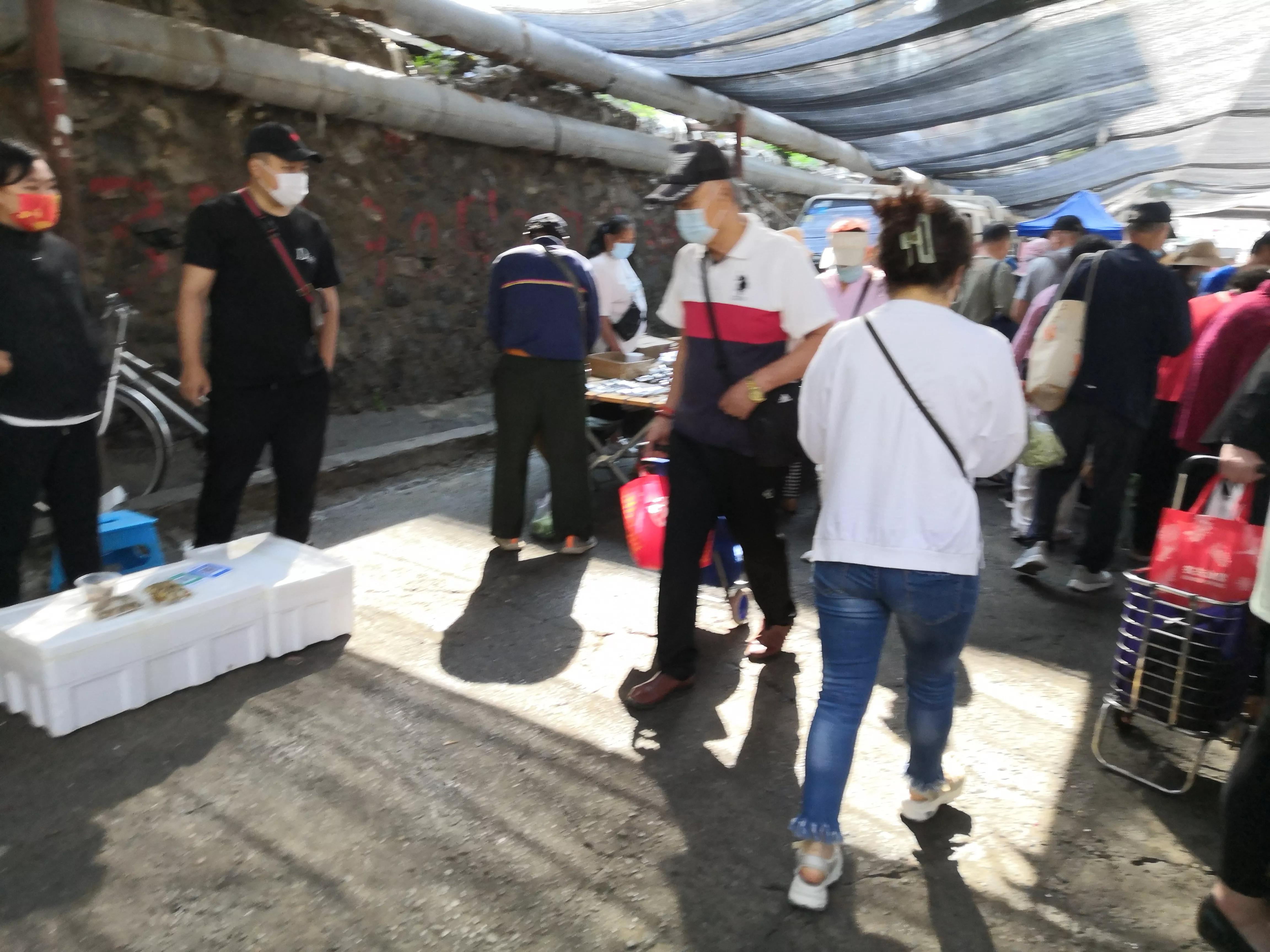 夜来风雨声花落知多少楷书,夜来风雨声花落知多少