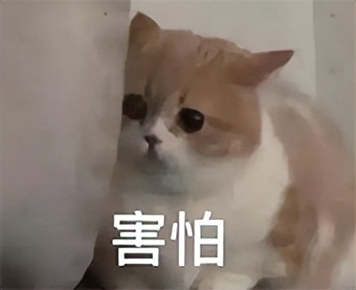 閲忓瓙鍔涘杞欢鎺ㄨ崘,閲忓瓙鍔涘杞欢