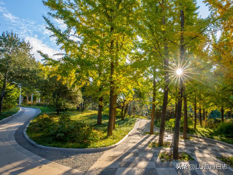 济南森林公园跑步路线推荐,济南跑步路线推荐