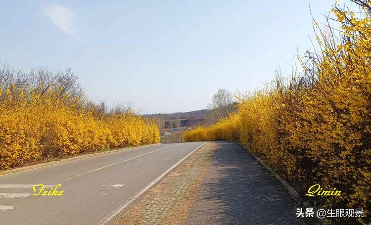 北京近郊春景,济南近郊春景