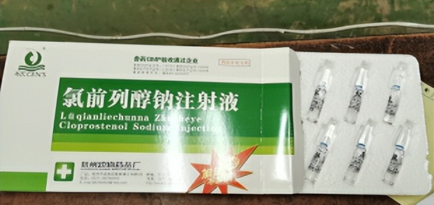 牛羊产后吃草不食,产后母牛长期不反刍怎么办