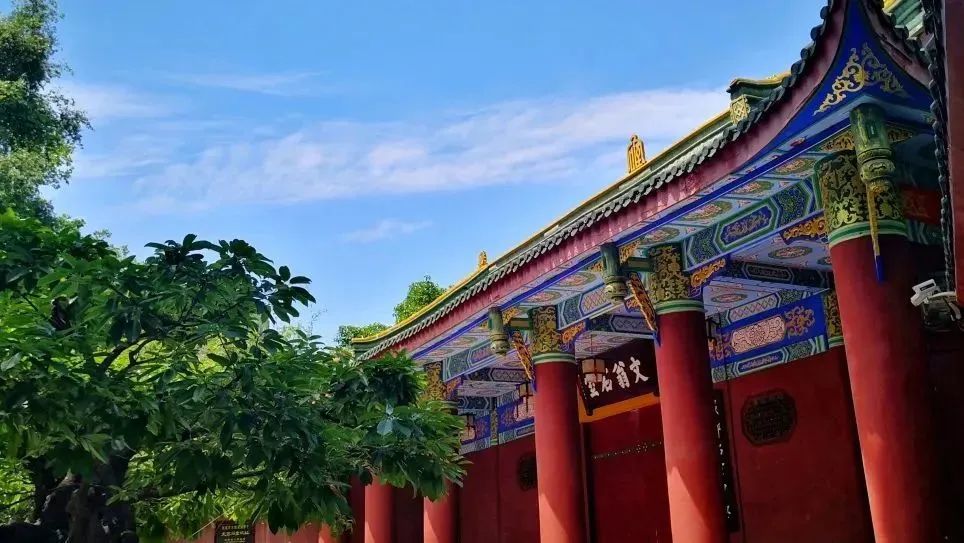 成都市泡桐树小学绿舟校区划片区,成都市天府泡桐树小学